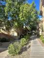 1050 Cactus Avenue - Photo 12