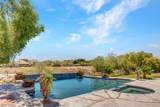 9717 Winter Palace Drive - Photo 65