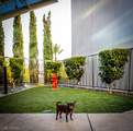 4575 Dean Martin Drive - Photo 18