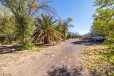 3805 Amargosa Farm Road - Photo 5
