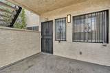 3923 Gogo Way - Photo 8