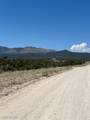  Pinyon Pine - Photo 3
