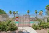 4847 Double Down Drive - Photo 29