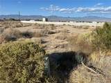 4320 Jasmine Street - Photo 4