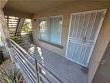 3455 Erva Street - Photo 12