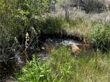 360 Mountain Creek Road - Photo 12