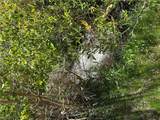 360 Mountain Creek Road - Photo 15