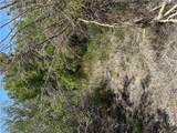 360 Mountain Creek Road - Photo 16