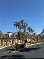 50 Aura De Blanco Street - Photo 14