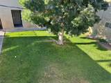 3831 Daisy Street - Photo 4