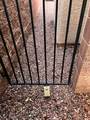 730 Sand Primrose Street - Photo 42