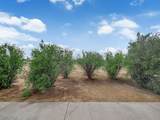 81 Stagecoach Road - Photo 32