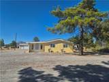 2860 Irene Street - Photo 4