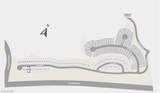 19 Via Montoro - Photo 22