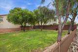 10371 Kadumba Street - Photo 41