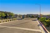 10151 Evergreen Pine Street - Photo 46