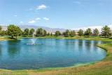 4015 Cactus Canyon Drive - Photo 38