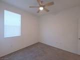 374 Hellebores Avenue - Photo 26