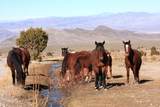 175 Rudin Drive - Photo 34