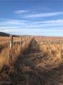  Quarter Horse - Photo 9