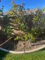 10341 Early Morning Avenue - Photo 24