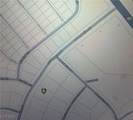 1201 Dandelion Street - Photo 2