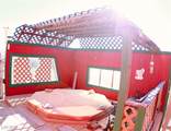 5203 Blue Desert Trail - Photo 75