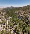 4085 Cougar Ridge Trail - Photo 11