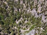 4085 Cougar Ridge Trail - Photo 12