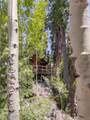4085 Cougar Ridge Trail - Photo 13