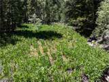 4085 Cougar Ridge Trail - Photo 15