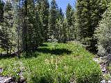 4085 Cougar Ridge Trail - Photo 16