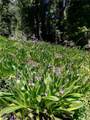 4085 Cougar Ridge Trail - Photo 21