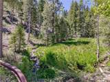 4085 Cougar Ridge Trail - Photo 24