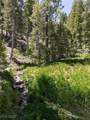 4085 Cougar Ridge Trail - Photo 25