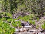 4085 Cougar Ridge Trail - Photo 28