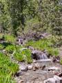 4085 Cougar Ridge Trail - Photo 29