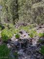 4085 Cougar Ridge Trail - Photo 30