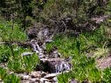 4085 Cougar Ridge Trail - Photo 31