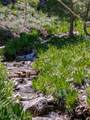 4085 Cougar Ridge Trail - Photo 32