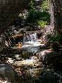 4085 Cougar Ridge Trail - Photo 33
