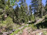 4085 Cougar Ridge Trail - Photo 35