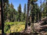 4085 Cougar Ridge Trail - Photo 37