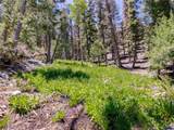 4085 Cougar Ridge Trail - Photo 39