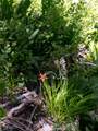 4085 Cougar Ridge Trail - Photo 43