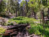 4085 Cougar Ridge Trail - Photo 44