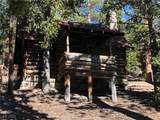 4085 Cougar Ridge Trail - Photo 46