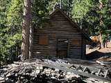 4085 Cougar Ridge Trail - Photo 47