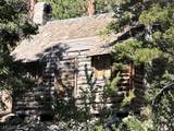 4085 Cougar Ridge Trail - Photo 48