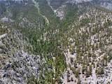 4085 Cougar Ridge Trail - Photo 5